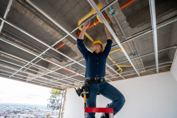 Best Plumbing Inspection Services  in Somerset, MD